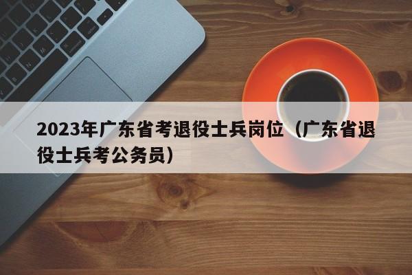 2023年广东省考退役士兵岗位（广东省退役士兵考公务员）